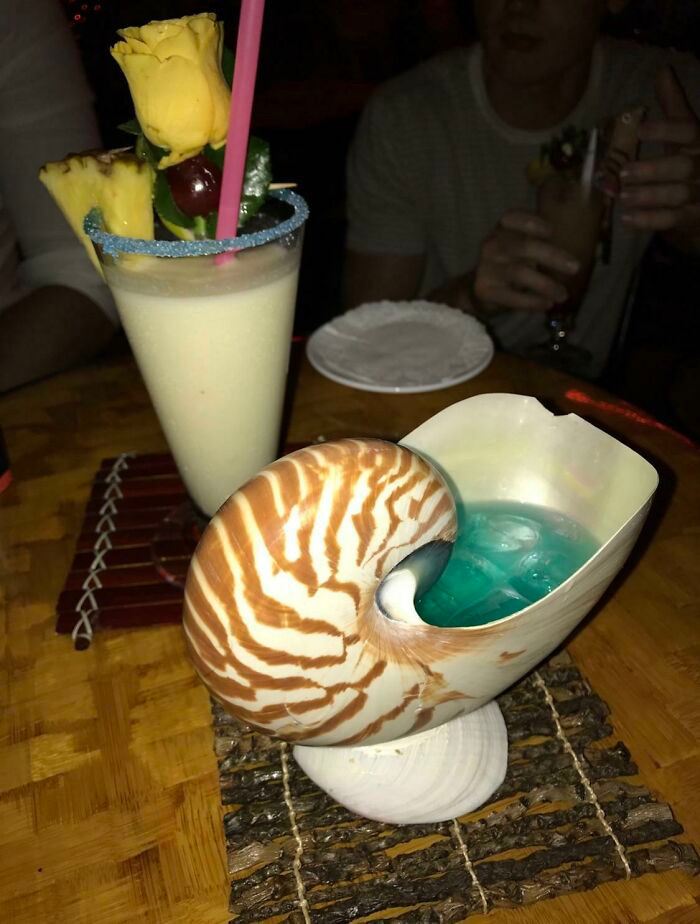 Cocktail trong vỏ ốc thì sao nhỉ?