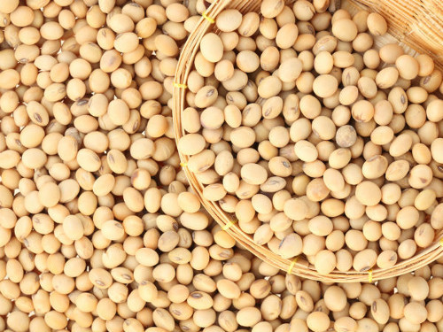 Đậu nành. Chỉ 1/4 tách đậu nành đã chứa tới 15g protein. Đây được xem là thực phẩm tuyệt vời cho người ăn chay. Một số nghiên cứu còn chứng minh rằng một chế độ ăn kiêng giàu đậu nành có thể giảm thiểu nguy cơ ung thư vú.