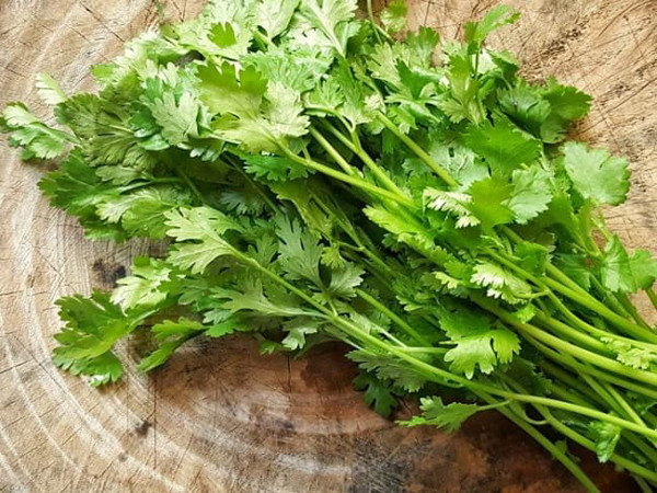 Với những món tanh, rau mùi rất thích hợp để rắc lên sau khi nấu bởi chúng dễ dàng khử được mùi khó chịu.