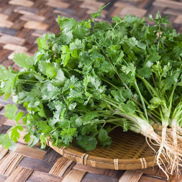 Bên cạnh đó, rau mùi còn chứa nhiều chất xơ, canxi, sắt, phốt pho và chất chống oxy hóa có lợi trong việc bảo vệ cơ thể chống lại các gốc tự do có hại.