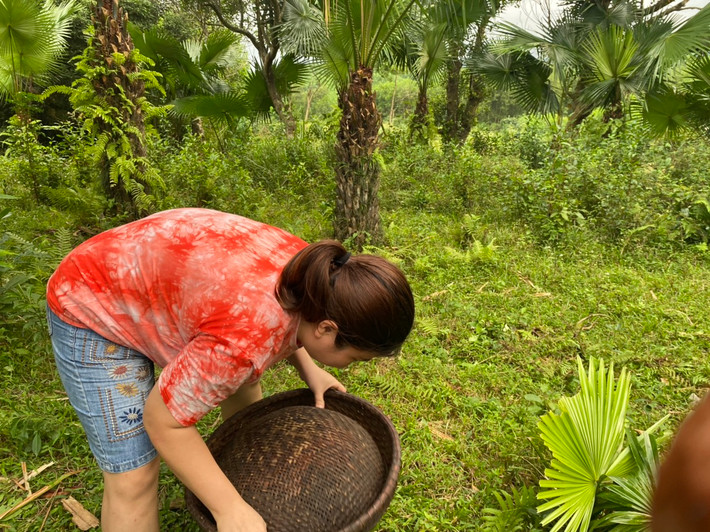 Để làm sạch, người ta cho trái cọ vào 2 cái rổ lớn, rồi lắc đều tay. Lắc đến khi nào trái cọ sạch hết vỏ chuyển sang màu xám trắng là được.
