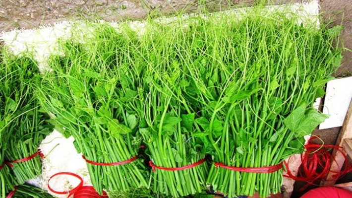 Nhắc đến đặc sản Tam Đảo, không thể nào bỏ qua món ngọn su su. Được thiên nhiên ưu ái ban tặng khí hậu mát mẻ quanh năm, su su Tam Đảo sở hữu hương vị ngọt thanh, giòn giòn khi thưởng thức. Du khách có thể chế biến ngọn su su thành nhiều món ăn hấp dẫn như luộc chấm muối vừng, xào tỏi, nấu canh,...