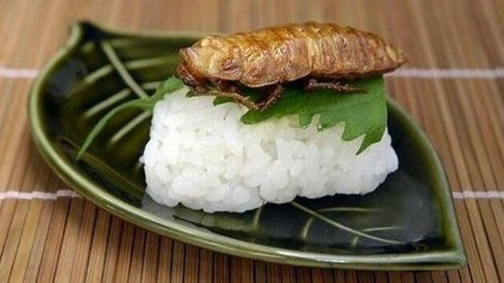 Nghe có vẻ khó tin, nhưng sushi gián thực sự tồn tại. Tại một số nhà hàng ở Nhật Bản, gián được chế biến thành sushi, kết hợp với các nguyên liệu khác như gạo, rong biển và wasabi. Món ăn này được cho là có hương vị khá giống với tôm. Ảnh: Saostar