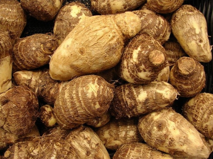 Tuy nhiên những người mắc chứng tiểu đường không nên ăn khoai sọ, vì khoai sọ chứa hàm lượng tinh bột cao, nên khi ăn vào cơ thể tinh bột này sẽ được chuyển hóa thành đường. Ảnh: SKĐS