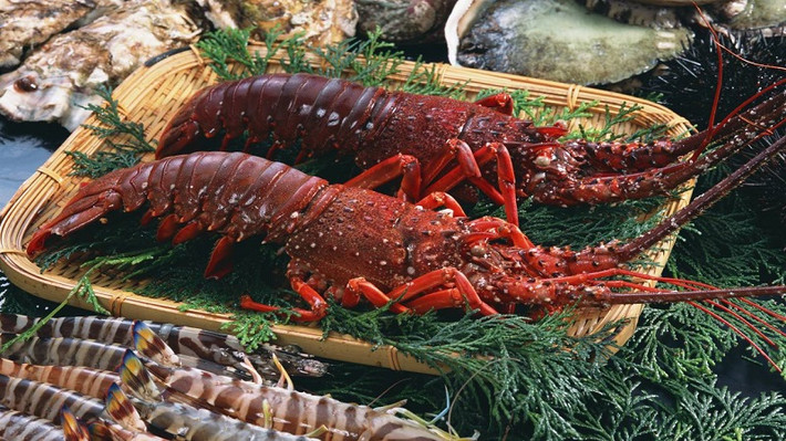 Côn Đảo nổi tiếng với những loại hải sản tươi sống. Một trong số đó chính là tôm hùm đỏ. Tôm hùm đỏ giá cả đắt đỏ và có thể chế biến được rất nhiều món ăn ngon như nướng, hấp, gỏi,...