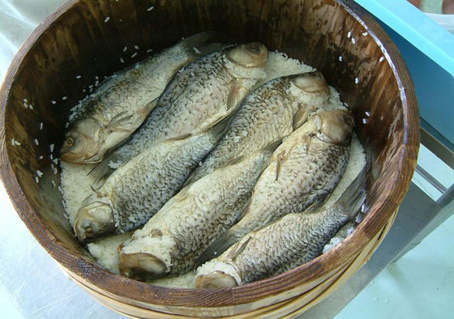 Sau khi đánh bắt, người ta loại bỏ nội tạng của cá, chỉ để lại vây, mang cá và trứng cá. Riêng dạ dày của cá được rửa sạch, ướp muối biển và nhét lại vào trong bụng con cá. Sơ chế xong, những con cá sẽ được xếp gọn gàng vào một thùng gỗ, cứ mỗi lớp cá sẽ rải lên một lớp muối và sau đó nén chặt cá bằng các hòn đá lớn để bảo quản cá được tốt hơn. Ảnh: Dân Việt