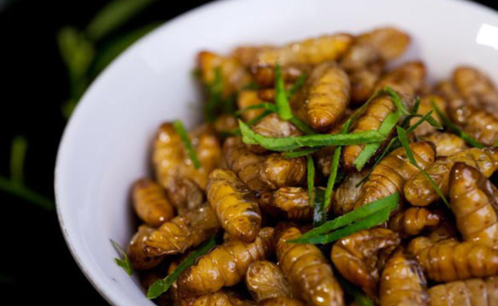 Người Việt chế biến nhộng tằm thành nhiều món bổ dưỡng như: nhộng xào lá chanh, nhộng tằm xào măng, nhộng tằm chiên, nhộng tằm rang muối…