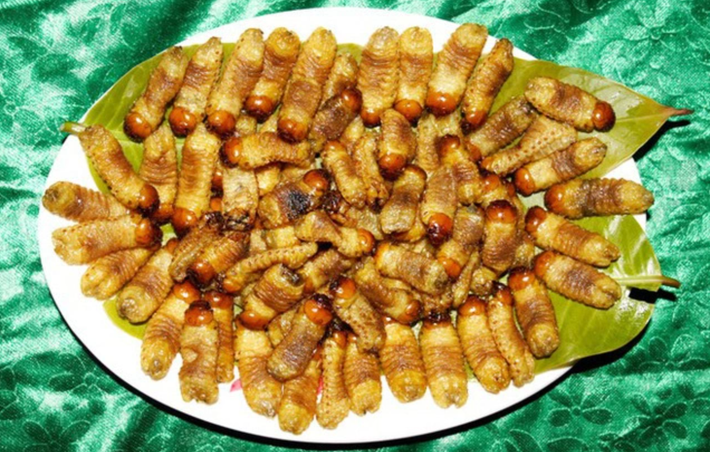 Sùng đất là đặc sản của Quảng Nam, sùng đất có hình dạng khá “khó nuốt”, nhưng chúng được người bản địa ưa chuộng vì công dụng dinh dưỡng cao.
