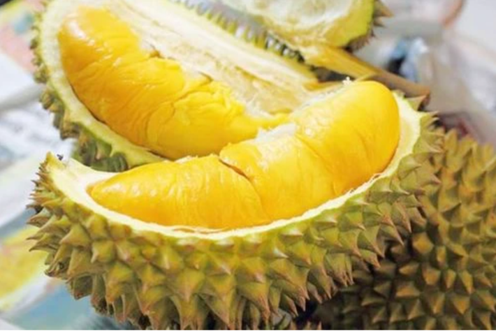 Sầu riêng được mệnh danh là “vua trái cây” bởi hương vị béo ngậy, thơm lừng cùng giá trị dinh dưỡng cao. Tuy nhiên, mùi hương nồng nàn của sầu riêng lại là “rào cản” khiến nhiều người e dè.