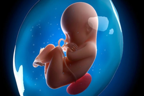 Những bé gái được hình thành trong bụng mẹ với toàn bộ số trứng mà chúng sẽ có sau này. Nói cách khác, khi đang mang thai, bạn không chỉ cho ra đời một sinh linh mới mà còn tạo ra một nửa gen di truyền của cháu ngoại bạn sau này nữa.