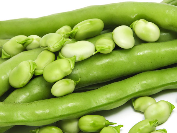 Các loại đậu. Hầu như tất cả các loại đậu đều chứa kali, protein và chất xơ giúp thải độc gan hiệu quả.