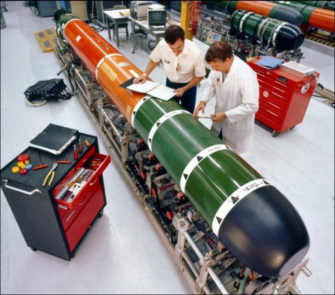 Bên cạnh công việc nâng cấp công nghệ dẫn đường trên ngư lôi của Lockheed, Hải quân Mỹ cũng đang chuẩn bị phát triển những phiên bản Mk 48 mới (có thể là Mod 8) có đường kính 533 mm và nặng tới 1.597 kg.