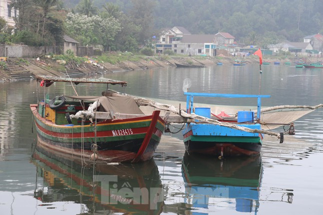 Ông Nguyễn Tiến Lợi - Chủ tịch Hội nông dân phường Nghi Thủy (TX Cửa Lò) cho biết: “Trên địa bàn hiện có 110 tàu thuyền, trong đó, có 46 tàu đánh bắt xa bờ, còn lại đánh bắt gần bờ. Gần 10 ngày qua, tàu cá của ngư dân đều cập cảng nằm bờ vì giá dầu lên cao. Gần 10 ngày qua, tàu thuyền của ngư dân chủ yếu ở bến, không ra khơi vì giá nhiên liệu tăng quá cao. Thậm chí, có một số tàu từ Tết Nguyên đán đến giờ vẫn nằm bờ”.