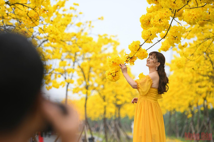 Nhiều người đến đã trang bị cảnh thang để có được những tấm hình đẹp nhất. (Ảnh: THÀNH ĐẠT)