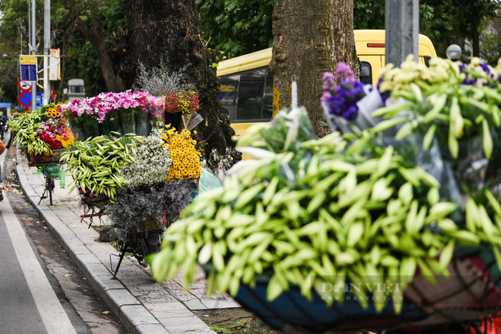 Hàng năm cứ vào cuối tháng 3, đầu tháng 4 khắp các con đường, ngõ phố của Hà Nội lại được tô điểm bởi sắc trắng giản dị của những bông hoa loa kèn.