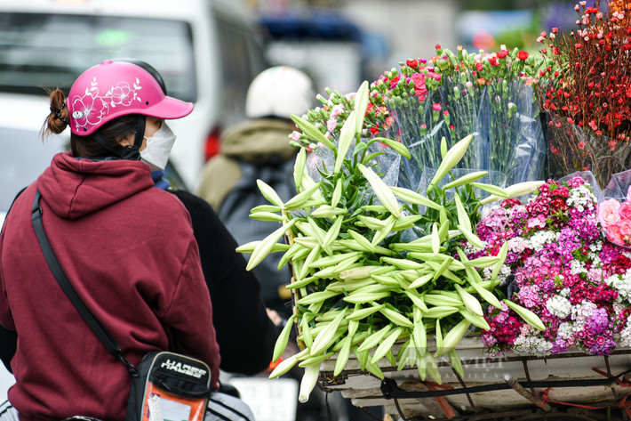 Chạy xe qua các tuyến đường như Thụy Khuê, Phan Đình Phùng, Láng Hạ, Thanh Niên,… khó ai có thể kìm lòng trước vẻ đẹp tinh khôi, mùi hương dịu nhẹ của loa kèn.