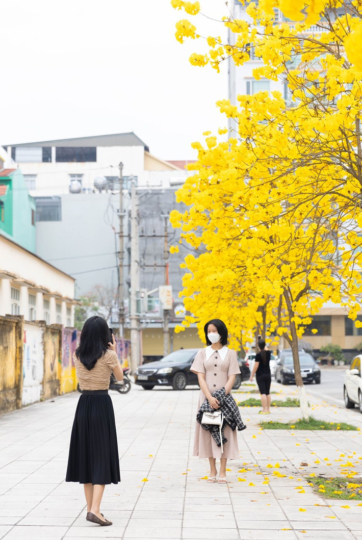Thời điểm giữa tháng ba là lúc hoa nở đẹp nhất thu hút người dân và du khách tới check in và tham quan.