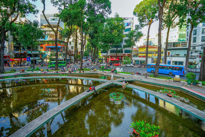 Hiện tại bên trong khu vực hồ nước tại công viên Hồ Con Rùa có 22 cây Sao đen, mảng xanh chủ yếu là cỏ xung quanh gốc cây cùng một số chậu thủy sinh đặt trong hồ, thế nhưng nhiều cây đang có dấu hiệu chuyển sang màu vàng úa.