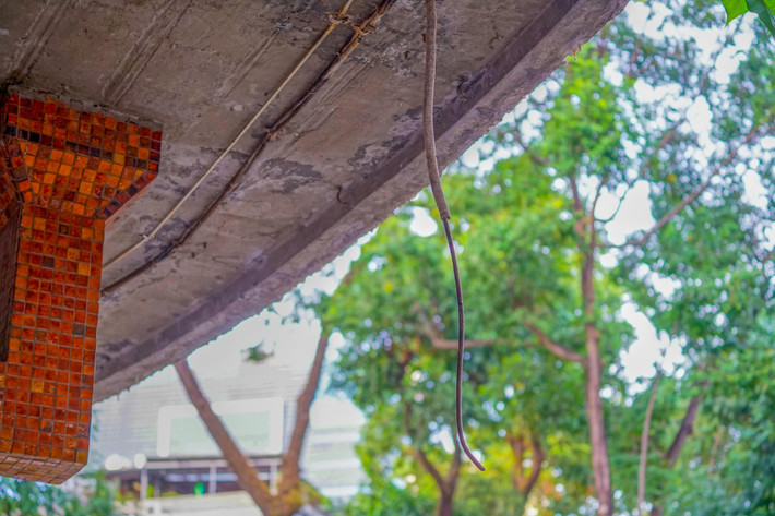 Nguy hiểm hơn một số chỗ dây điện của hệ thống chiếu sáng bị đứt để lòi ra lõi đồng bên trong và treo lòng thòng xuống ngay bên dưới lối đi dễ gây nguy hiểm cho du khách đến tham quan.