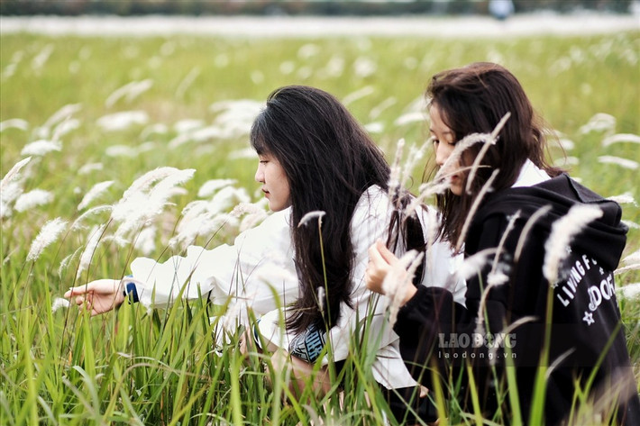 “Vẻ đẹp ở đây rất tự nhiên, không hề có sự sắp đặt sẵn. Khi đến đây mình cũng cảm thấy bất ngờ vì nơi này đẹp hơn những gì mình nghĩ.”, bạn Bùi Kim Yến (Hà Nội) chia sẻ.