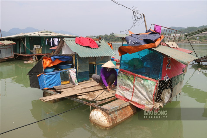 Nhà nào không đủ điều kiện thì làm nhà bè từ thùng phi, chi phí rẻ nhưng chất lượng kém, dễ bị xô đẩy, nhấn chìm khi bão gió.