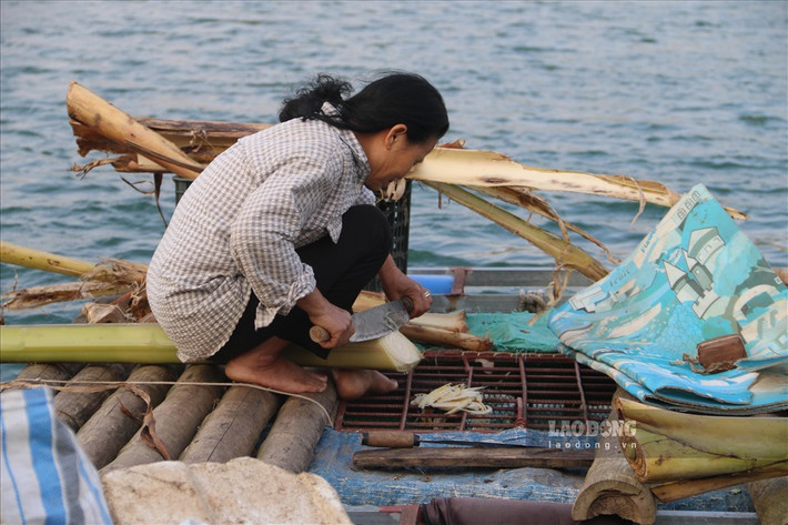 Bà Nguyễn Thị Hiên - người dân làng chài chia sẻ: “Ngoài việc dựa vào nguồn cá tự nhiên từ dòng sông Đà, chúng tôi còn tận dụng nguồn nước để nuôi thả lồng các loại cá để tăng thêm thu nhập. Gia đình tôi nuôi thêm cá chép và cá trắm cỏ, thức ăn cho chúng chỉ bằng cỏ và cây chuối nên thịt chắc và ngon, được nhiều người ưa chuộng".