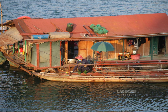 Những người đàn ông là lao động chính trong gia đình sẽ kiểm tra lại thuyền để chuẩn bị cho chuyến đánh bắt trong đêm trên dòng sông Đà.