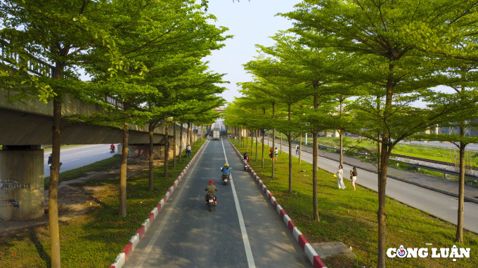 Hàng cây bàng Đài Loan tạo nên khung cảnh đẹp tựa như trời Âu đang gây “sốt” trên mạng xã hội những ngày qua.