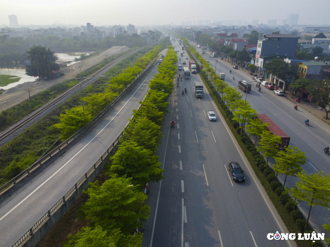 Hàng cây đã đem đến những thay đổi tích cực về cảnh quan nơi đây, cũng như góp phần cải thiện môi trường.