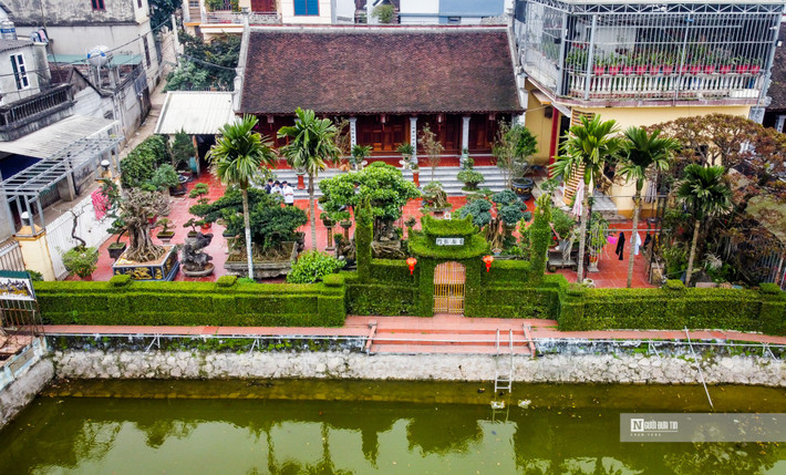 Nằm giữa những ngôi nhà cao tầng khang trang, nhưng mỗi khi có người qua thôn Yên Trường 2, xã Trường Yên (huyện Chương Mỹ, Hà Nội) đều ngỡ ngàng khi nhìn thấy hàng rào bằng cây xanh theo kiểu truyền thống của gia đình ông Trịnh Nhân Kỳ.