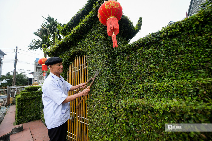Vốn là người yêu thiên nhiên nên từ đầu những 1990, khi qua khu vực của Đại xứ quán Pháp tại Hà Nội, ông Kỳ đã bị "hớp hồn" bởi hàng rào bằng cây ô rô.
