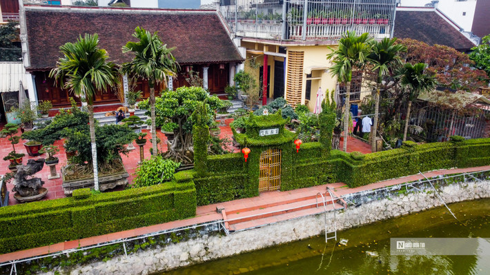 Ông Trần Văn Tùng, một người hàng xóm cho hay, thời đó hầu hết kinh thế gia đình nào cũng khó khăn nên ít người chăm chút đến sân vườn. Còn ngày nay, đô thị hóa diễn ra mạnh, cây xanh trở nên hiếm dần. Do đó, công trình của ông Kỳ được người dân coi như "di sản" của thôn. Hàng ngày, ra hồ ngắm hàng rào cây, xem ông Kỳ cắt tỉa cây, tôi cũng thấy thư thái".