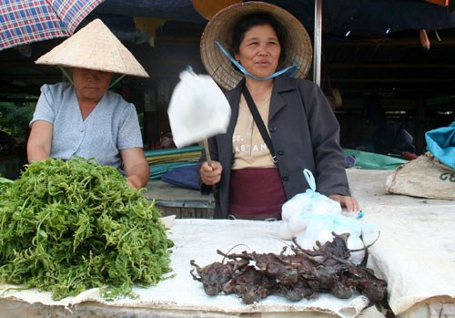 Chuột khô. Đây là món nhậu vô cùng đặc sắc ở Sầm Nưa - một vùng đất bình yên và trong mát của người Lào. Ảnh: thanhnien