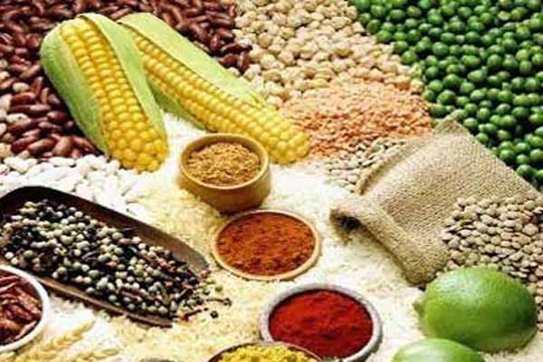 Cha mẹ hãy tập trung vào chế độ ăn có khả năng loại bỏ thành phần gluten, carbonhydrate, casein có trong trong mì đen, ngũ cốc nguyên cám, bánh mì trắng … và các thành phần kích thích biểu hiện tự kỷ. Do gần đây, giới nghiên cứu đã phát hiện, trẻ tự kỷ có thể dễ bị phản ứng dị ứng với những chất này.