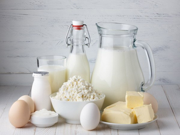 Sữa và các chế phẩm từ sữa cũng nên có trong chế độ ăn của người bị đau lưng do nhóm thực phẩm này còn có công dụng giúp đẩy lùi quá trình thoái hóa xương, làm dịu các cơn đau nhức dai dẳng. Ảnh: daylambanhngon.