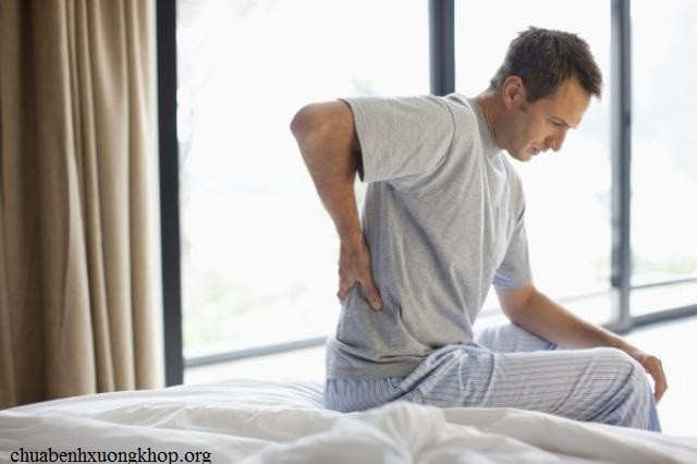 Các động mạch ở cột sống khi bị tổn thương có thể dẫn đến đau và suy giảm chức năng vận động của lưng. Ảnh: nhadatsinhthai.