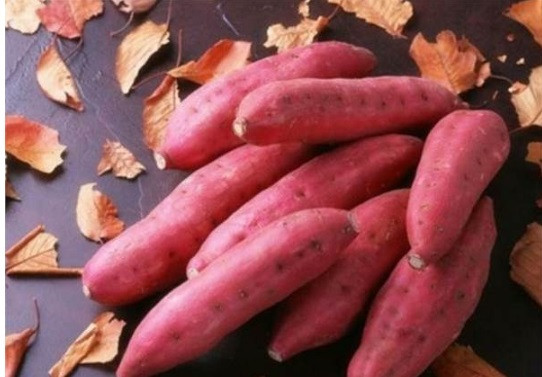 Khoai lang cũng chứa nhiều kali, do đó nó có thể làm tăng lượng kali trong máu, làm từ đó giúp giảm chứng chuột rút cơ bắp. Ảnh Xagan.