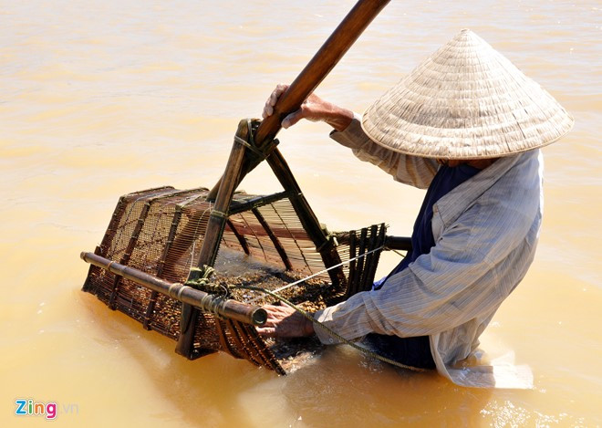 Bà Nguyễn Thị Hai (xã Tịnh Long, TP Quảng Ngãi), lý giải cùng sống trên dòng sông nhưng con hến thì sống ở trên cạn, tầng nước ngọt nên chỉ cần dùng “nhủi" làm bằng mành tre xúc tới là được. Trong khi đó, con don ở tầng nước lợ, lại nằm vùi trong cát ở mực nước sâu hơn nên phải đi giật lùi mới cào được.