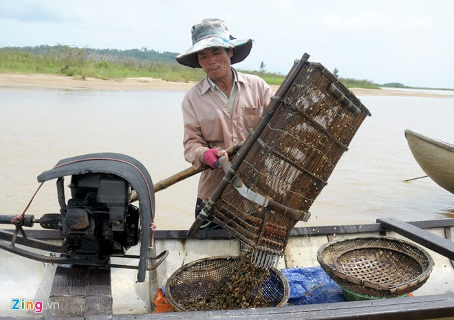 Ông Mạng cho rằng nhờ có thu nhập ổn định nên nghề này dù cực khổ vẫn được truyền qua nhiều thế hệ, giúp sản vật của quê hương Quảng Ngãi đến với nhiều vùng, miền trong cả nước.