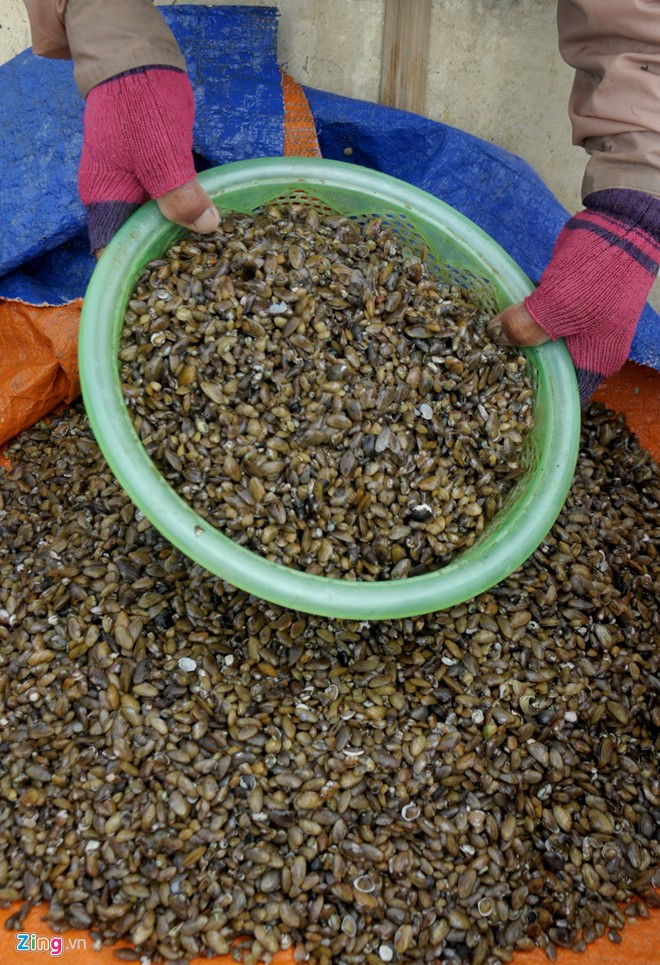 Từ lâu người dân Quảng Ngãi xem don, hến là món ăn dân dã nhưng ngon miệng và giàu chất bổ dưỡng. Đầu năm 2013, Tổ chức kỷ lục Việt Nam công nhận don sông Trà là một trong 4 sản vật Quảng Ngãi vào các danh sách đặc sản nổi tiếng Việt Nam. Trong đó, cá bống sông Trà và món don nằm trong số 50 món đặc sản nổi tiếng Việt Nam.