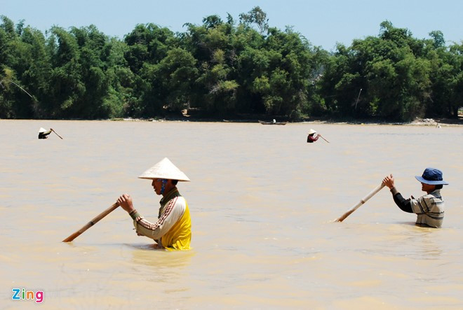 Từng có thâm niên 25 năm gắn bó với nghề cào don (loại nhuyễn thể là đặc sản của vùng Quảng Ngãi), nhủi hến trên dòng sông Trà Khúc, ông Cao Văn Rân (xã Nghĩa Phú, TP Quảng Ngãi), cho hay cao điểm của mùa săn đặc sản bắt đầu từ tháng 5 đến tháng 8 dương lịch. Những năm gần đây, nhiều người thích món ẩm thực này nên người dân vẫn khai thác kéo dài đến tận dịp Tết Nguyên đán. Khác với nghề nhủi hến, dụng cụ cào don nặng hơn 10 kg, gồm một cán tre dài 2,5 m, thùng cào dài 1 m. Dụng cụ được gắn với dây đeo vào ngang hông, người cào một tay cầm cán tre, tay còn lại tì thắt lưng lấy thế đi giật lùi.