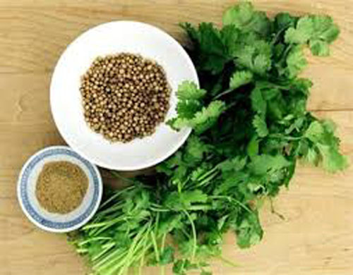 Hạt mùi. Hạt mùi có tính chất chống viêm, có thể làm giảm sưng tất cả các loại mụn. Hãy đun sôi một thìa hạt mùi trong 5 phút, sau đó lấy bông thấm vào mụt lẹo. Làm như vậy 3 lần mỗi ngày cho đến khi mụn xẹp.