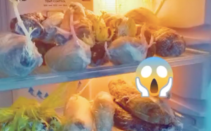 Vừa mới đây thôi, trên fanpage thu hút sự chú ý của nhiều netzien, một thành viên đã kể lại bản thân vừa gặp phải với chiếc tủ lạnh sau những ngày giãn cách xã hội.