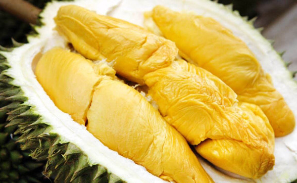 Sầu riêng: Sầu riêng là một trong những loại trái cây bổ dưỡng nhất trên thế giới. Ngoài dưỡng chất có lợi như protein, chất béo, kali, mangan, vitamin A, B6, C, nó còn chứa nhiều hợp chất có lợi như carotenoids, anthocyanin, polyphenol và flavonoid.