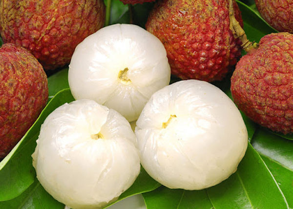 Vải: Vải là một trong những loại quả có giá trị dinh dưỡng cao. Về mặt dinh dưỡng, 100g cùi vải có chứa khoảng 15 gam đường, 36 mg vitamin C (tương đương lượng vitamin C trong quả cam). Nó cũng rất giàu vitamin B1, B2, B6, niacin, folate và chất khoáng quan trọng như magie, kali, đồng, selen.