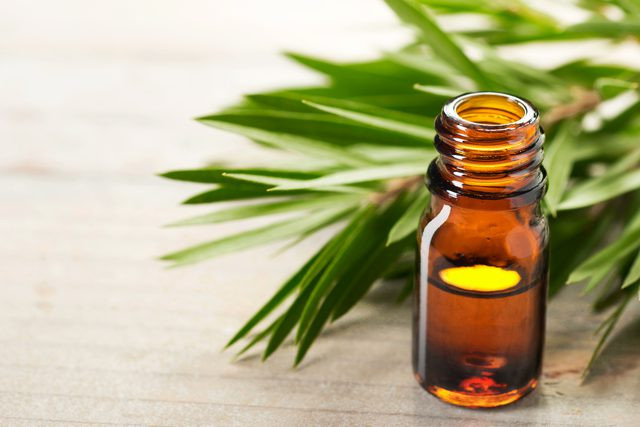 Sau rửa sạch vùng da có mụn thịt, bạn dùng tăm bông xoa dầu lên các nốt mụn, che lại bằng một miếng băng và để qua đêm. Bạn nên thực hiện việc làm này trong vài đêm cho đến khi mụn biến mất. Ảnh: ootymade.