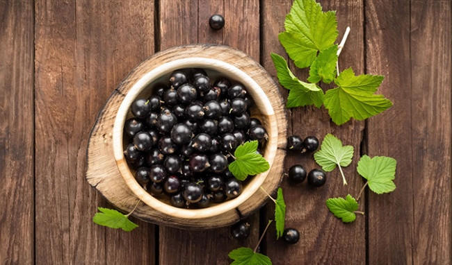 Một số loại trái cây như sung, quả lý chua đen hay quả mâm xôi được xem là những loại trái cây có chứa hàm lượng canxi dễ hấp thụ cao nhất. Ảnh: healthplus.
