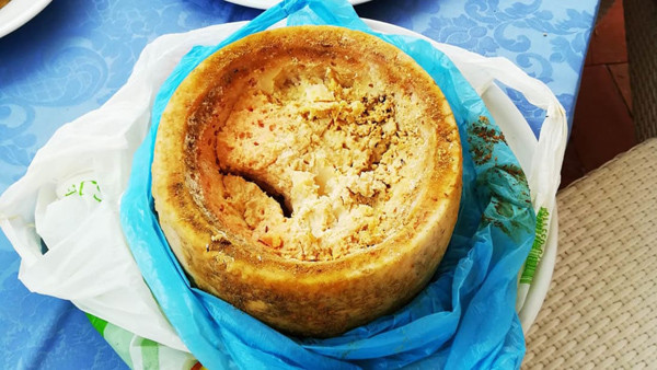 Casu Marzu thường được ăn với bánh mì Sardinian (pane carasau). Những con giòi này liên tục ngọ nguậy và đây cũng là tiêu chí để đánh giá miếng pho mát có thể sử dụng được hay không.