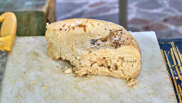 Casu Marzu là loại pho mát toàn giòi rất nổi tiếng tại Ý. Nó còn có tên gọi khác là Casu Modde, Casu Cundídu, Casu Fràzigu. (Ảnh minh họa)