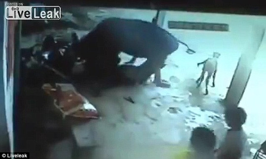 Trong một vụ hành quyết, chú bò dũng cảm đã xông pha ra cứu cô gái Seema, chú bò liên tục húc vào những đồ vật xung quanh đó và tấn công cả những người đã ra tay giết Seema để giúp cô gái chạy thoát khỏi nguy hiểm.